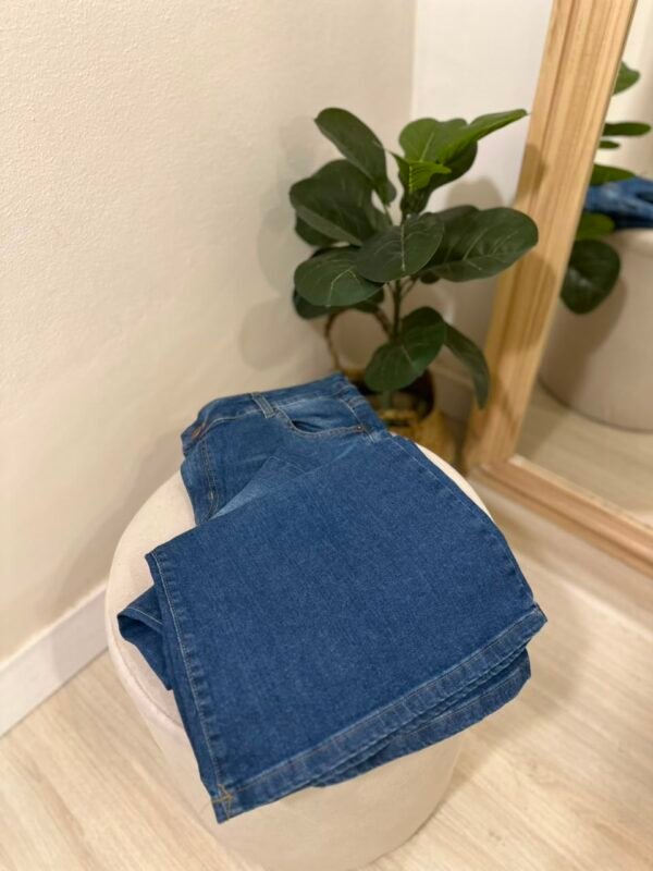WhatsApp Image 2026-06-14 at 17.48.13 Jeans Bloom