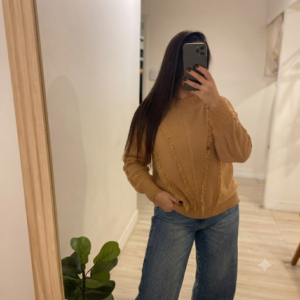 Gemini_Generated_Image_4au4t74au4t74au4 Sweater flecos